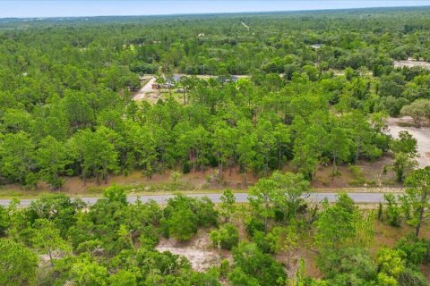 Terrain à vendre à Dunnellon, Floride № 2196730 - photo 4