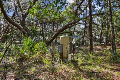 Terreno en venta en Odessa, Florida № 1690633 - foto 13
