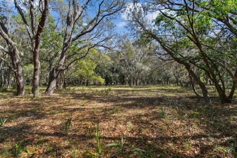 Terreno en venta en Odessa, Florida № 1690633 - foto 14