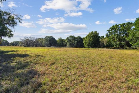 Terreno en venta en Odessa, Florida № 1690633 - foto 12