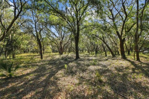 Terreno en venta en Odessa, Florida № 1690633 - foto 27