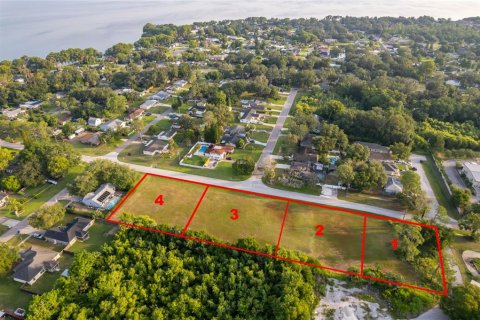 Land in Tavares, Florida № 1762191 - photo 5