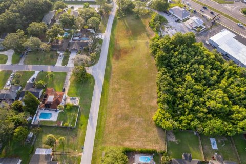 Land in Tavares, Florida № 1762191 - photo 8
