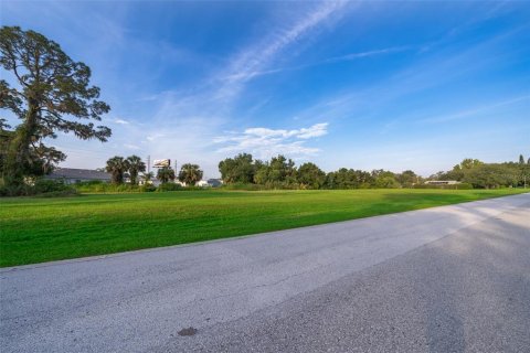 Land in Tavares, Florida № 1762191 - photo 14