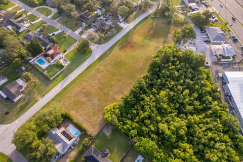 Land in Tavares, Florida № 1762191 - photo 7