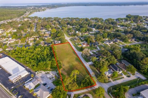 Land in Tavares, Florida № 1762191 - photo 2