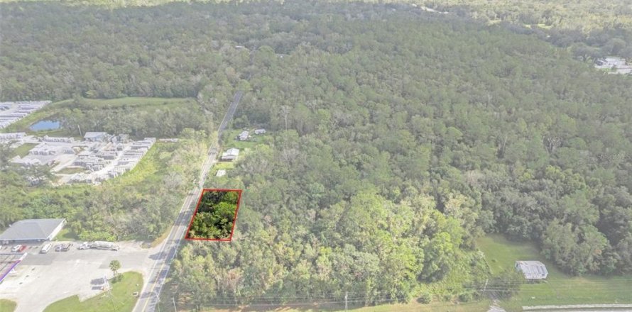 Terrain à Brooksville, Floride № 2159374