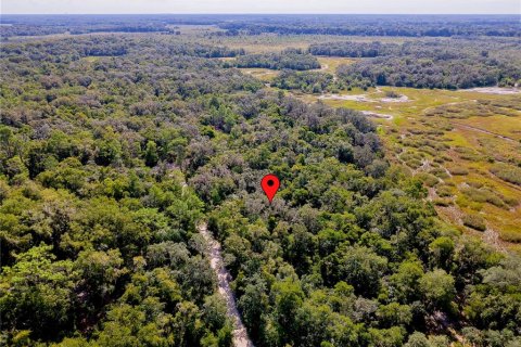 Land in Inverness, Florida № 2391179 - photo 11