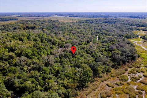 Land in Inverness, Florida № 2391179 - photo 13