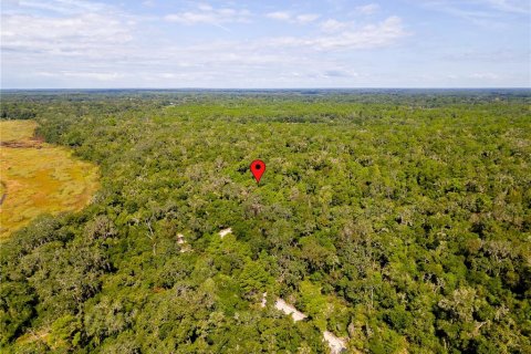 Land in Inverness, Florida № 2391179 - photo 2
