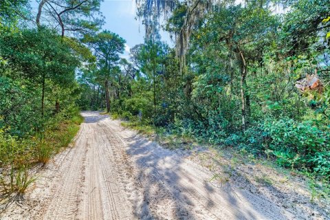 Land in Inverness, Florida № 2391179 - photo 6