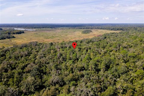 Land in Inverness, Florida № 2391179 - photo 16