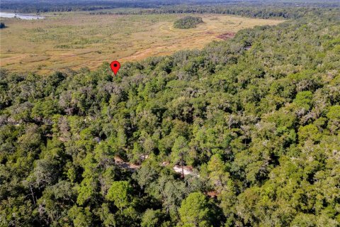 Land in Inverness, Florida № 2391179 - photo 18