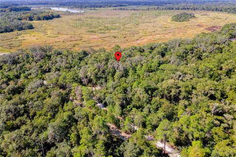 Land in Inverness, Florida № 2391179 - photo 17