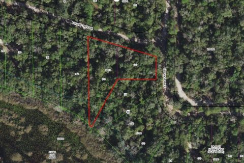 Land in Inverness, Florida № 2391179 - photo 4