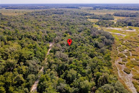Land in Inverness, Florida № 2391179 - photo 12