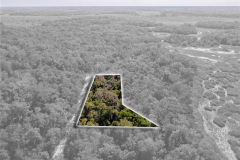 Land in Inverness, Florida № 2391179 - photo 7