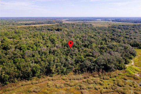 Land in Inverness, Florida № 2391179 - photo 8