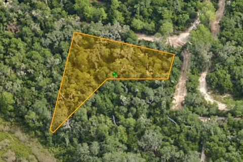 Land in Inverness, Florida № 2391179