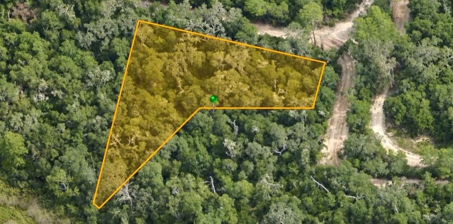 Land in Inverness, Florida № 2391179