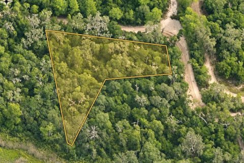 Land in Inverness, Florida № 2391179 - photo 5