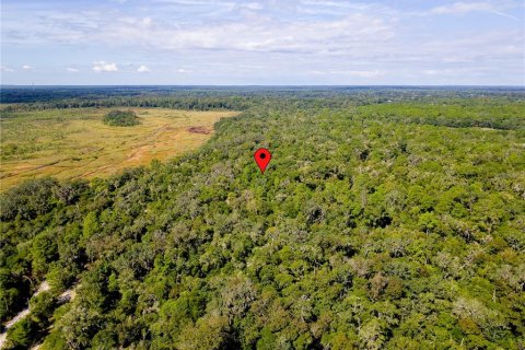 Land in Inverness, Florida № 2391179 - photo 15