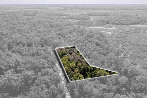 Land in Inverness, Florida № 2391179 - photo 3