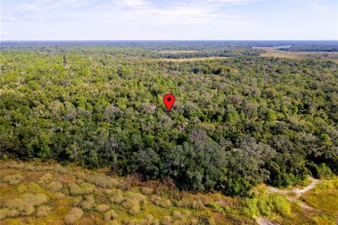 Land in Inverness, Florida № 2391179 - photo 9