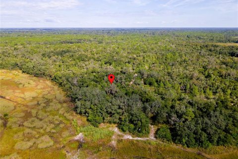Land in Inverness, Florida № 2391179 - photo 14