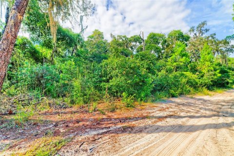 Land in Inverness, Florida № 2391179 - photo 10