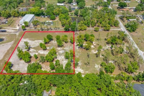 Land in Lutz, Florida № 2239897