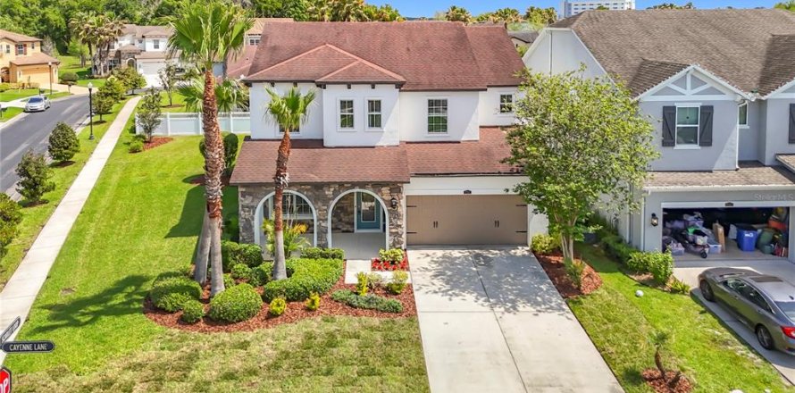 House in Wesley Chapel, Florida 4 bedrooms, 299.24 sq.m. № 2096689