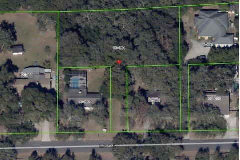 Land in Orlando, Florida № 2233090