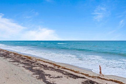 Copropriété à louer à South Palm Beach, Floride: 1 chambre, 106 m2 № 2146883 - photo 20