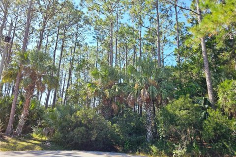 Terrain à vendre à Palm Coast, Floride № 2098712 - photo 2