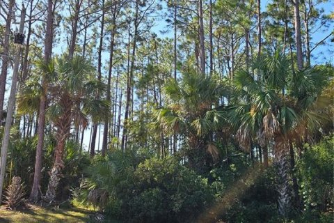 Terrain à Palm Coast, Floride № 2098712