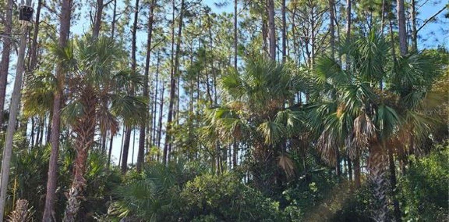 Terrain à Palm Coast, Floride № 2098712