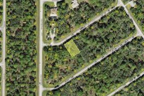 Land in Port Charlotte, Florida № 2159021