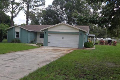 Villa ou maison à Land O' Lakes, Floride 4 chambres, 173.17 m2 № 2360559