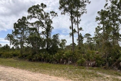 Land in Punta Gorda, Florida № 2280405