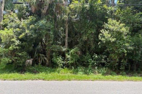 Land in DeLand, Florida № 2095981