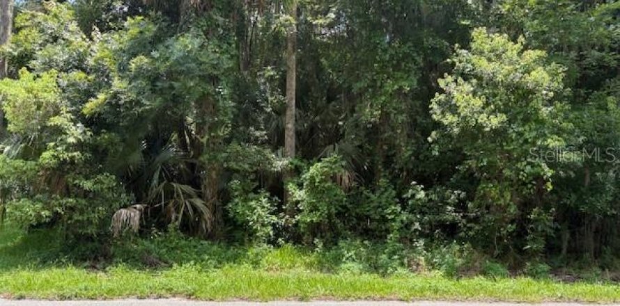 Land in DeLand, Florida № 2095981