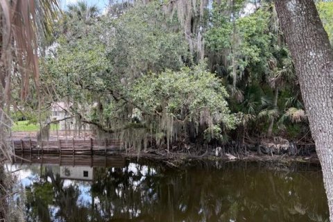 Land in DeLand, Florida № 2095981 - photo 9