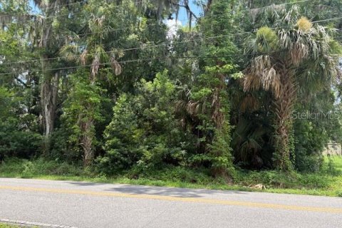 Land in DeLand, Florida № 2095981 - photo 3