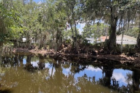 Land in DeLand, Florida № 2095981 - photo 7