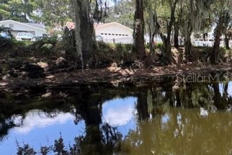 Land in DeLand, Florida № 2095981 - photo 8