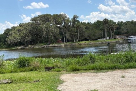 Land in DeLand, Florida № 2095981 - photo 12