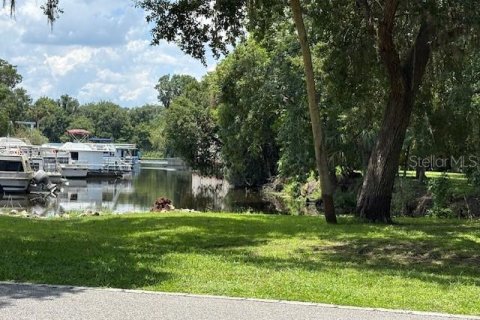 Land in DeLand, Florida № 2095981 - photo 5