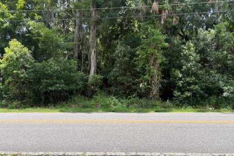 Land in DeLand, Florida № 2095981 - photo 2