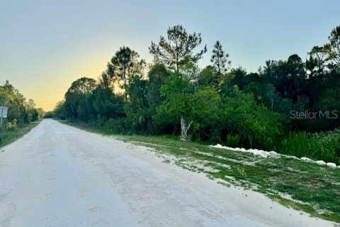 Land in Weeki Wachee, Florida № 2166563 - photo 8